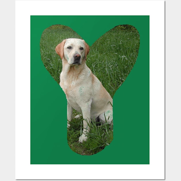 Labrador retriever yellow in Y Wall Art by Wanderingangel